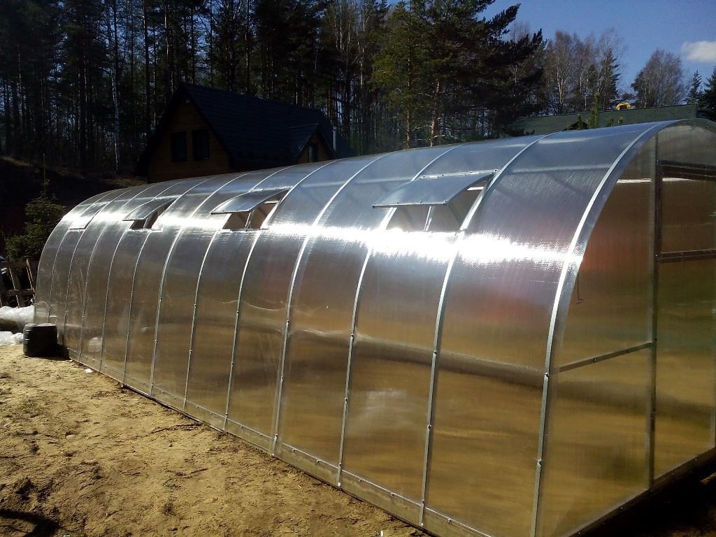теплица альфа. мир теплиц. теплицы питер. производители теплиц ярославль. теплица олимпия.