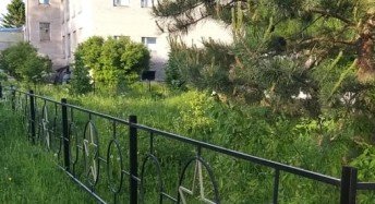 Заборы Заборы